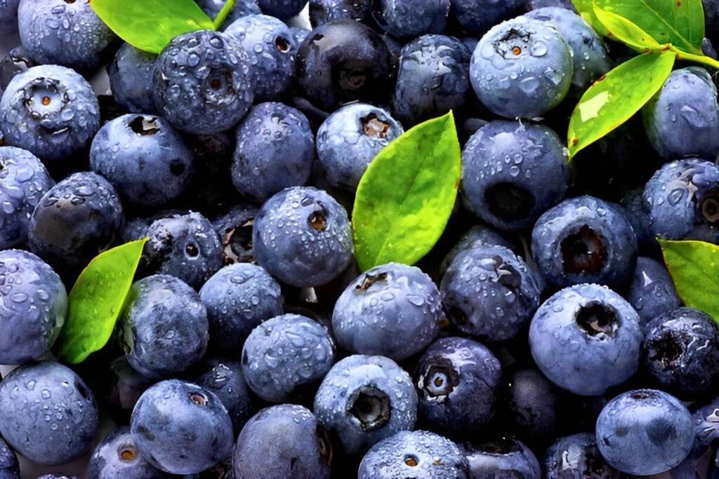 Blueberries Fruit Diet for Weight Loss