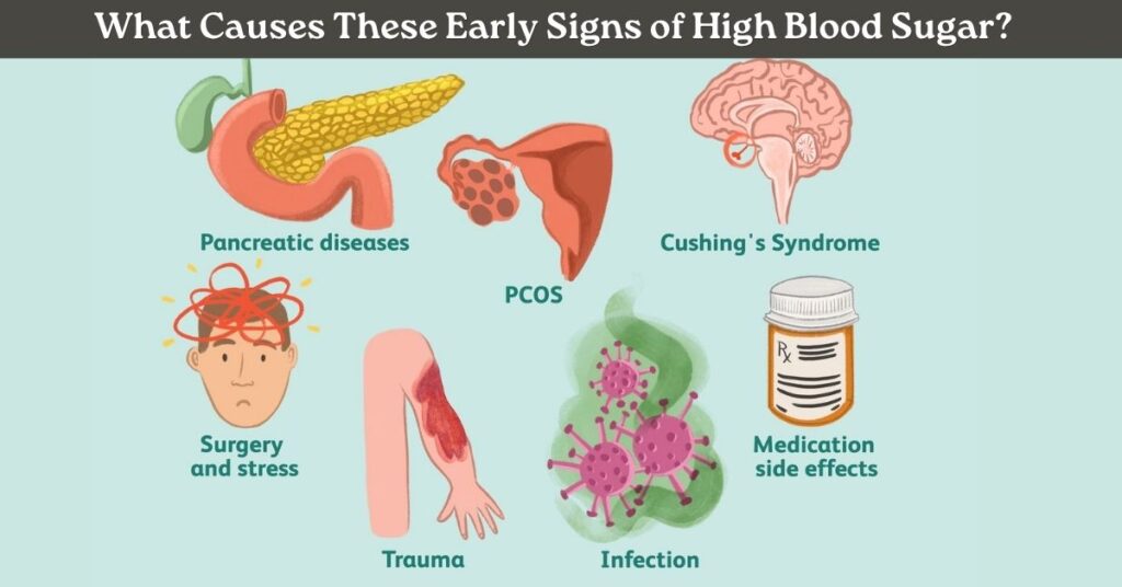 causes of early signs of high blood sugar including poor diet stress and low activity levels
