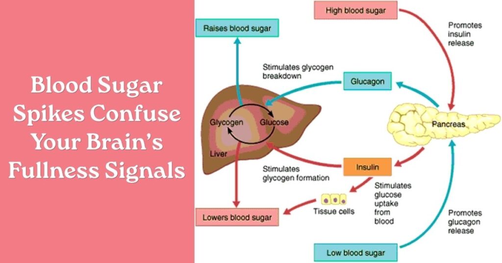 Blood Sugar Spikes Confuse Your Brain’s Fullness Signals